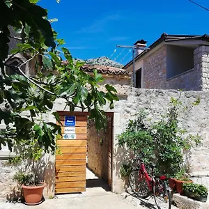 https://apartments-branko-starigrad-paklenica.hotelinzadar.com
